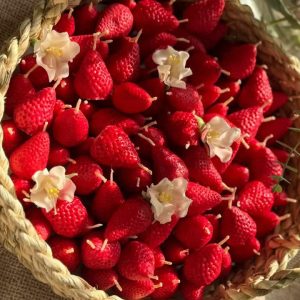شمع روسی دکوراتیو مدل توت فرنگی